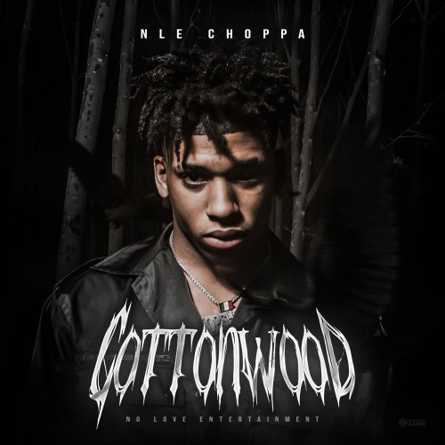 NLE Choppa - Cottonwood Cover Art