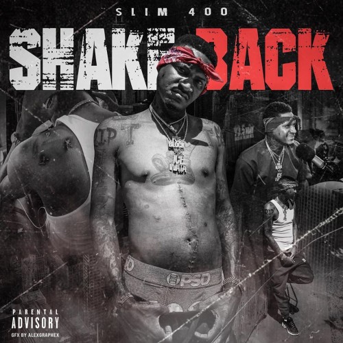 Slim 400 - Shake Back Cover Art