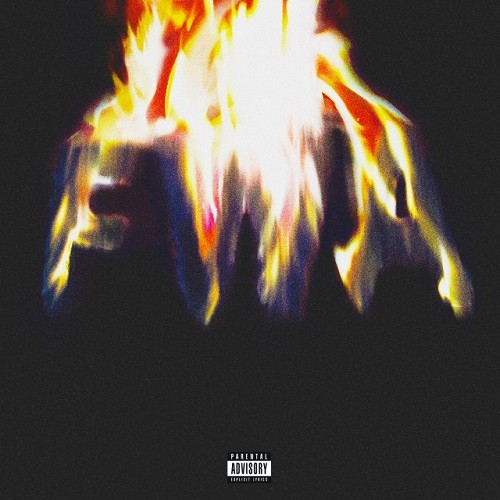 Lil Wayne - FWA (Free Weezy Album) Cover Art