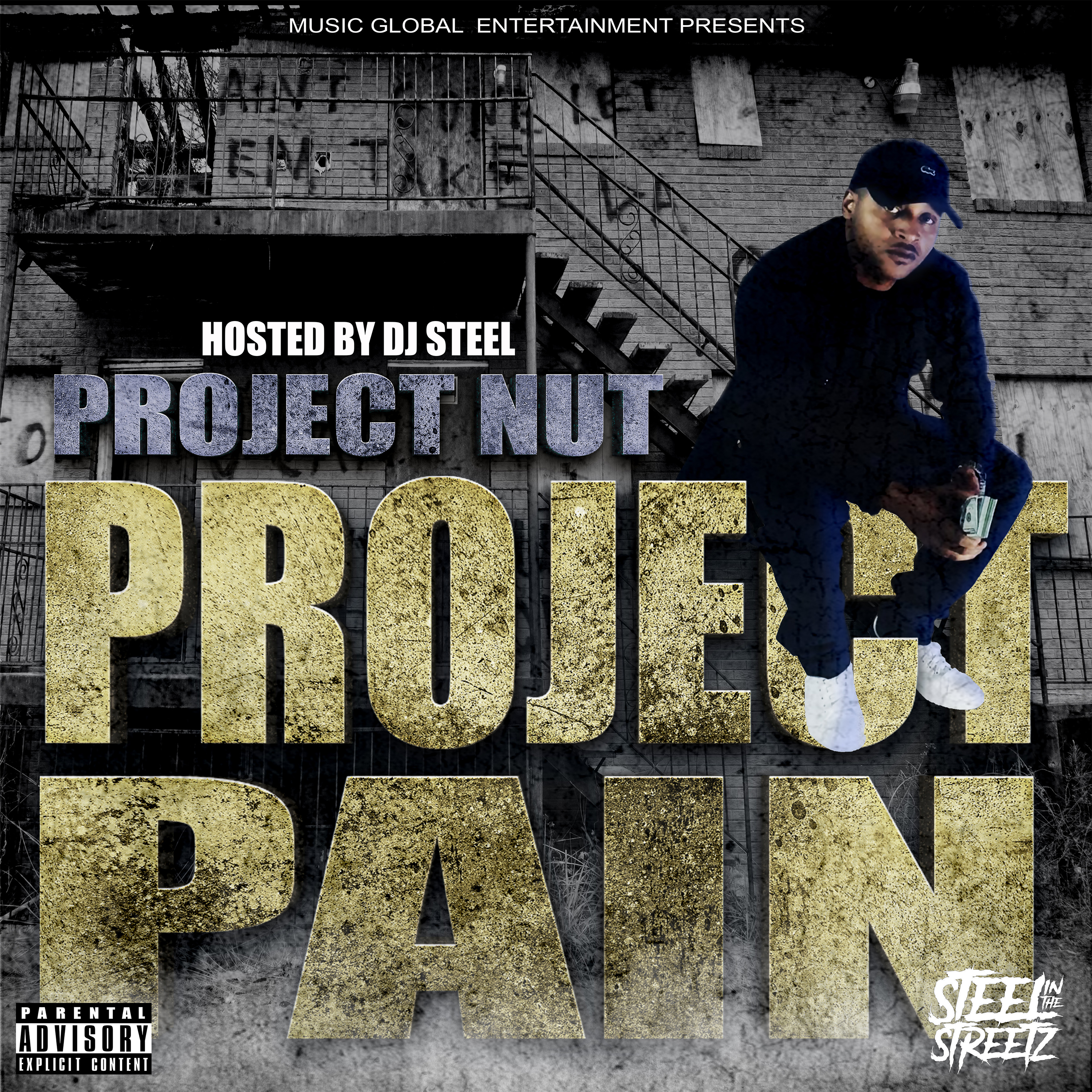 Project Nut - Project Pain Cover Art