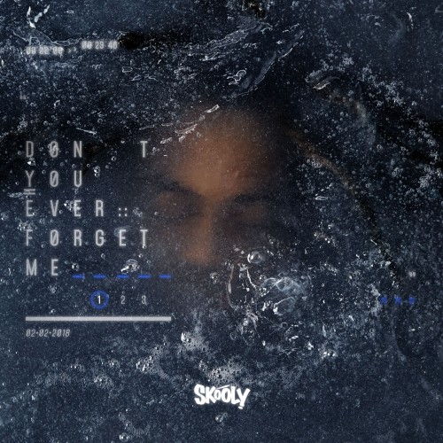 Skooly - Don't You Ever Forget Me Cover Art